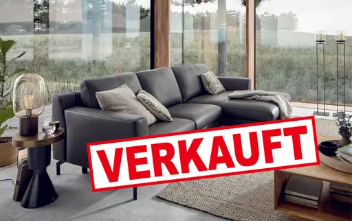 Polstergarnitur Natura Princeton Leder